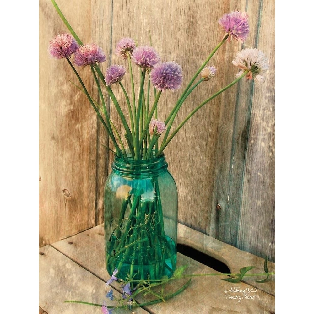 Country Chives Poster Print by Anthony Smith-VARPDXANT126 Image 1