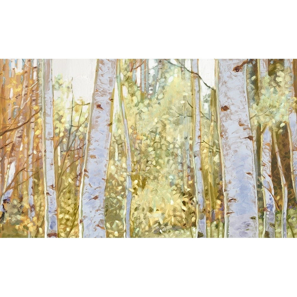 Summer Birch I by Anthony Del Rizzo-VARPDXAO004A Image 1