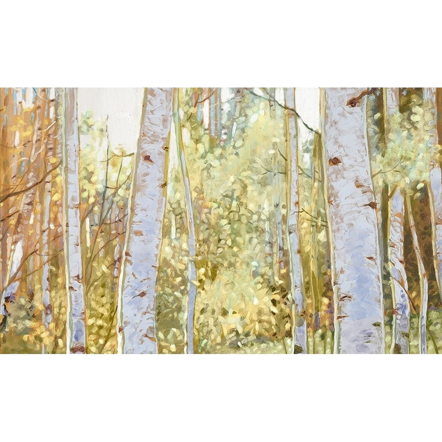 Summer Birch I by Anthony Del Rizzo-VARPDXAO004A Image 1