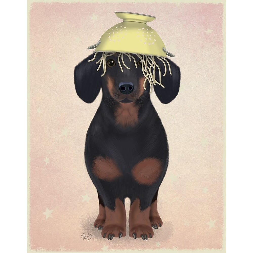 Dachshund Colander Poster Print - Funky Fab-VARPDXAP260527535 Image 1