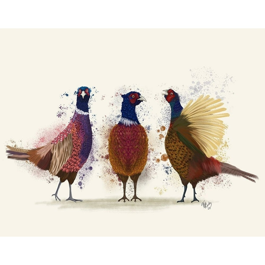 Pheasant Trio Poster Print - Funky Fab-VARPDXAP260527762 Image 1