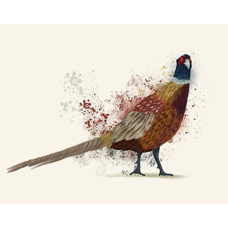 Pheasant Splash 2 Poster Print - Funky Fab-VARPDXAP260527755 Image 1