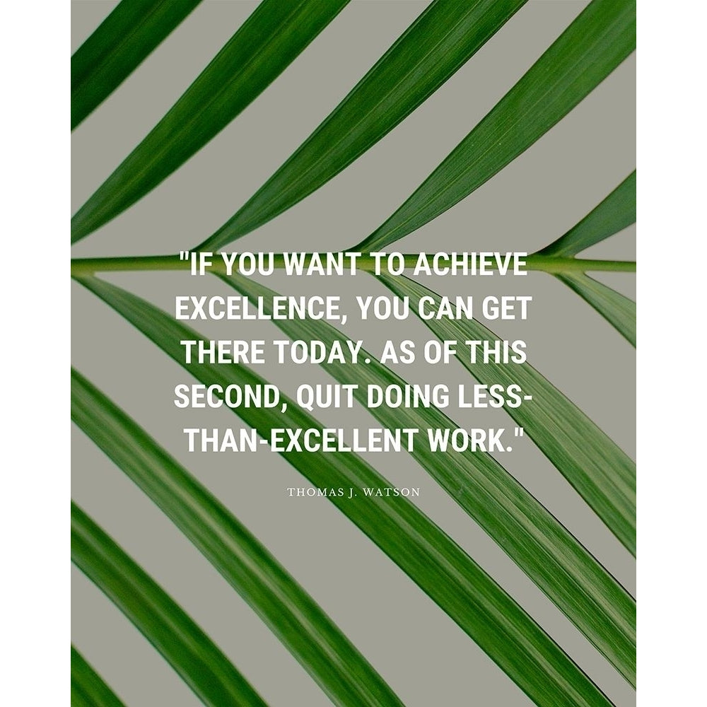 Thomas J. Watson Quote: Achieve Excellence by ArtsyQuotes-VARPDXARTSYQUOTES003238 Image 1