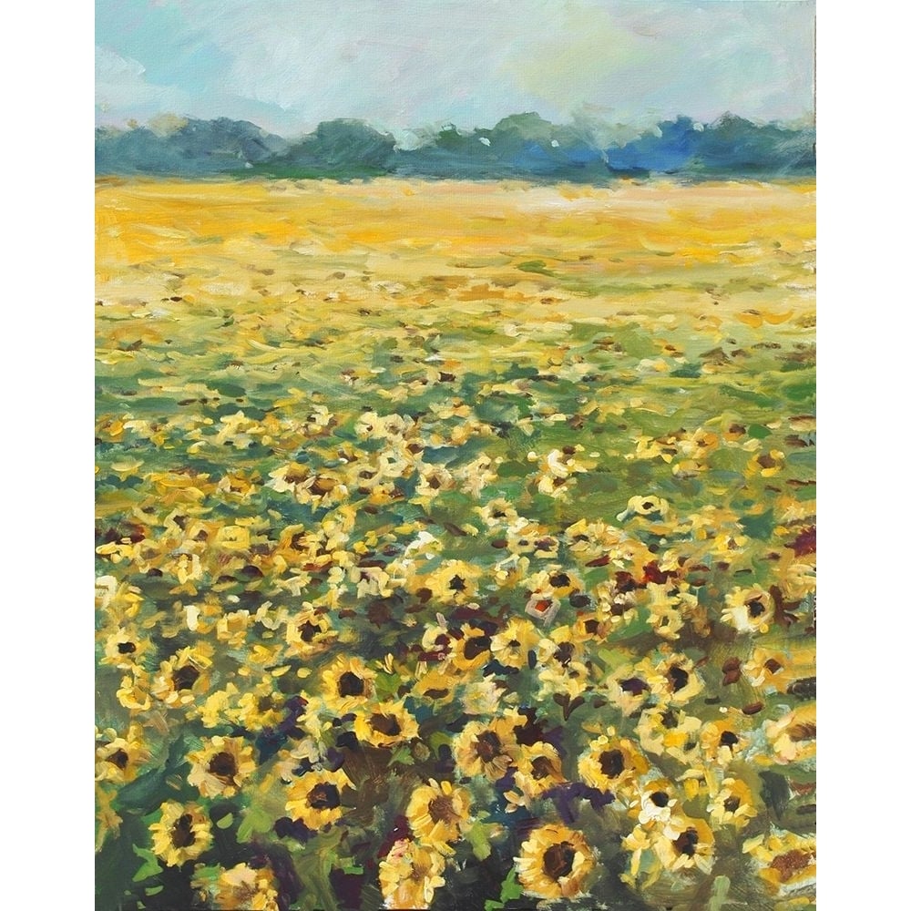 Sunflowers Poster Print by Allayn Stevens-VARPDXAS20070 Image 1