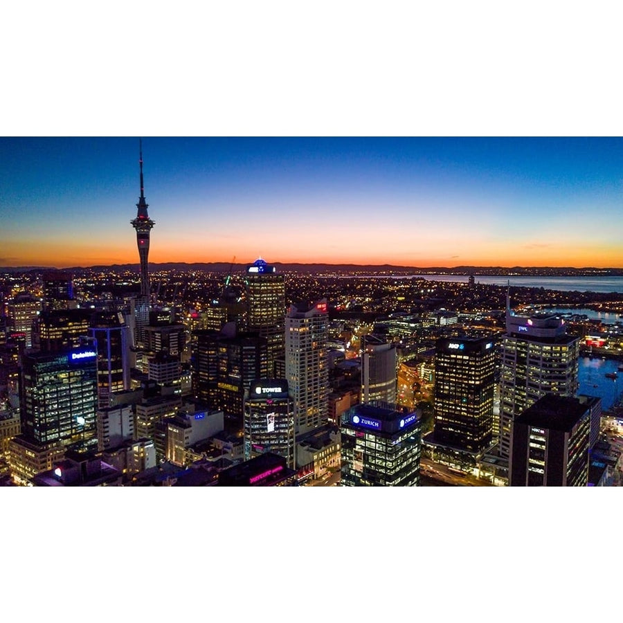 Auckland- Zealand. The Auckland Skytower and harbor at night. Poster Print - Micah Wright-VARPDXAU03MWR0053 Image 1