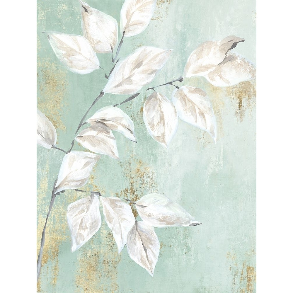 Soft Green Leaves Poster Print - Alex Black-VARPDXAX040A Image 1