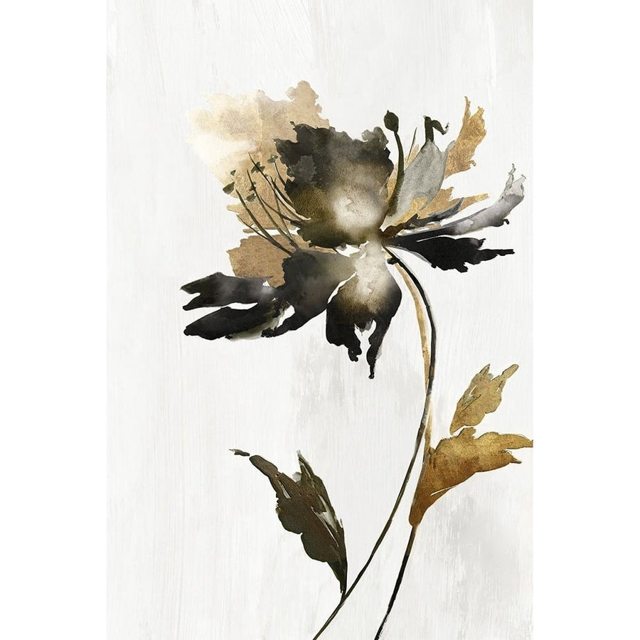 Black and Gold Floral Poster Print - Alex Black-VARPDXAX041A Image 1