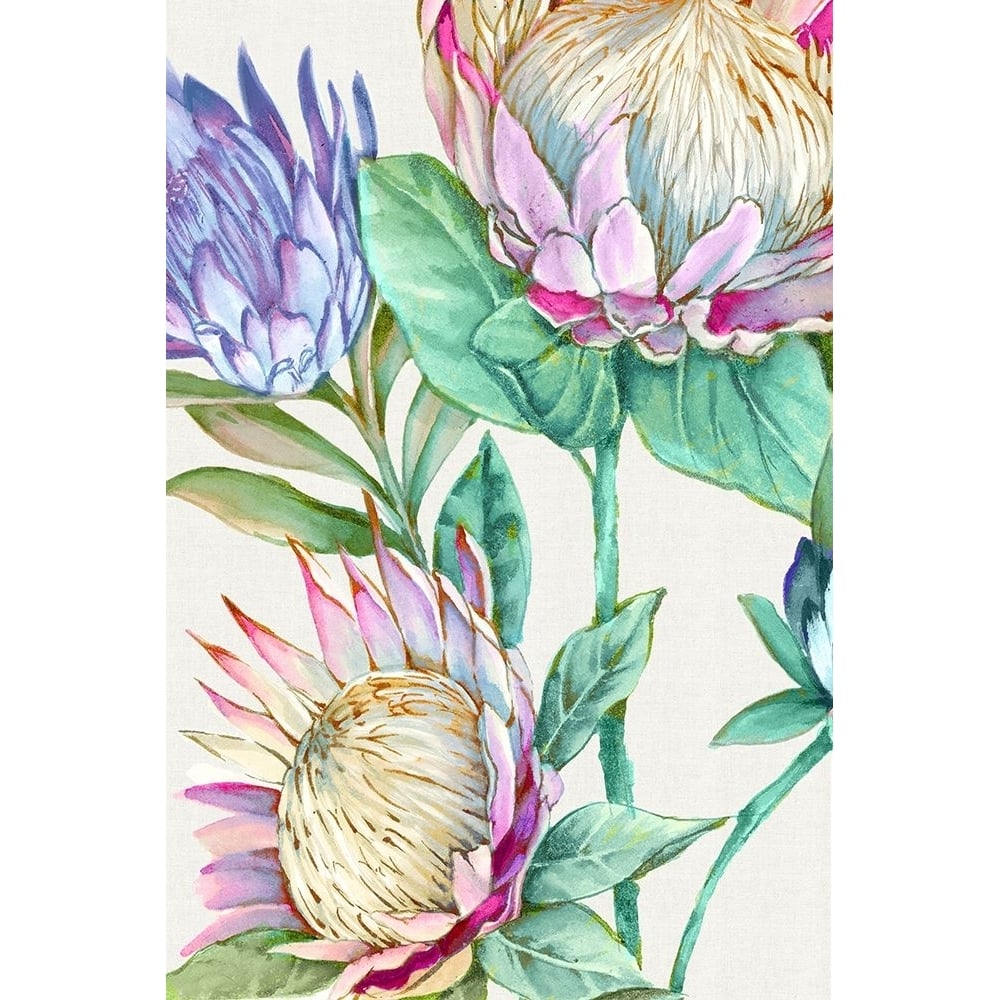 Wild King Protea Poster Print - Alex Black-VARPDXAX067A Image 1