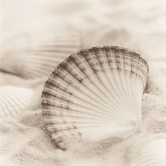 La Mer 3 Poster Print by Alan Blaustein-VARPDXB1333D Image 1