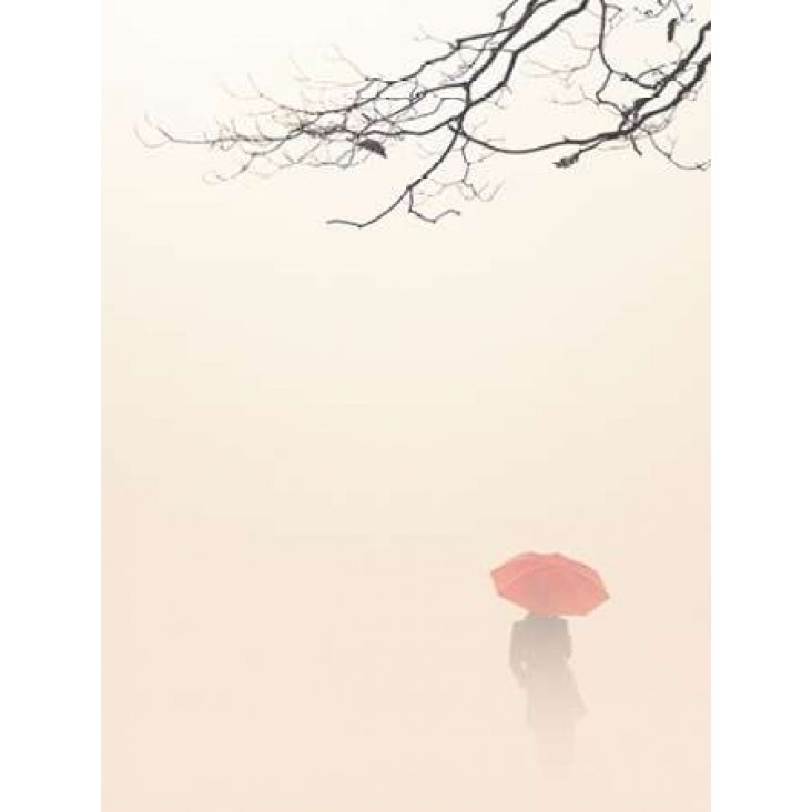 In Autumn Fog Poster Print by Nicholas Bell-VARPDXB2936D Image 1