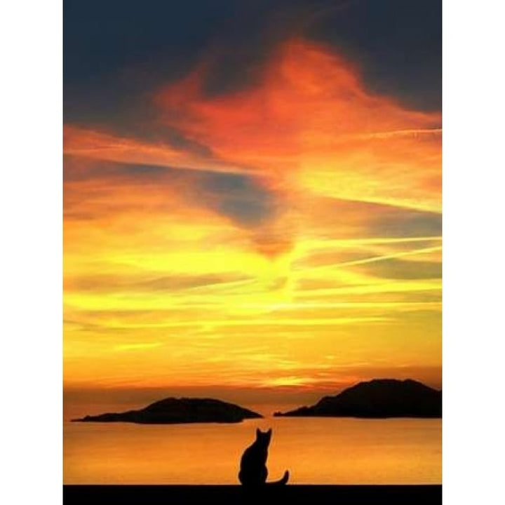 Contemplation Poster Print by Jon Bertelli-VARPDXB3089D Image 1