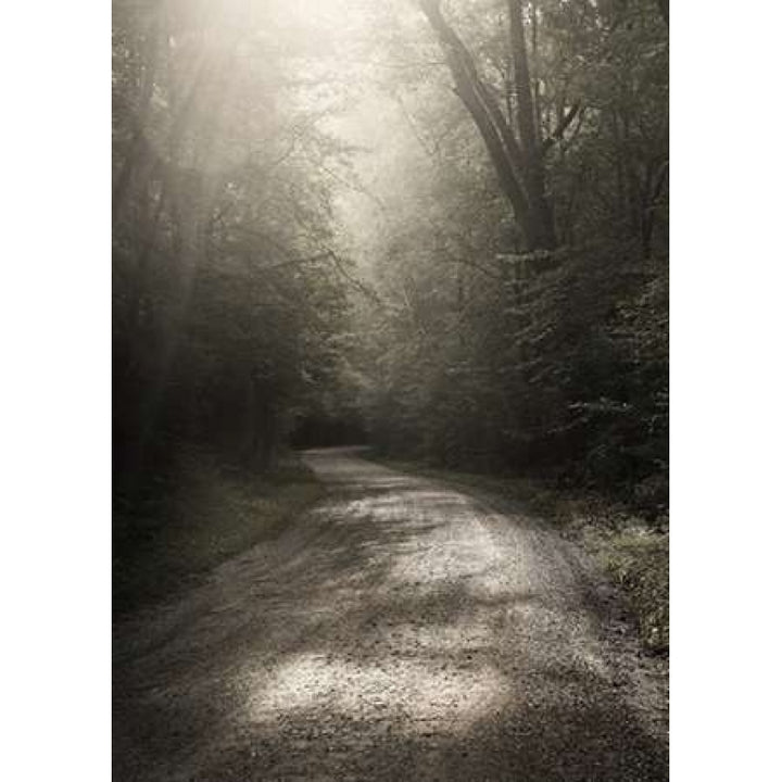 Back Country Road Poster Print by Nicholas Bell-VARPDXB3209D Image 1