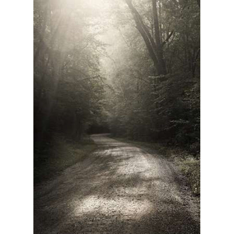 Back Country Road Poster Print by Nicholas Bell-VARPDXB3209D Image 2