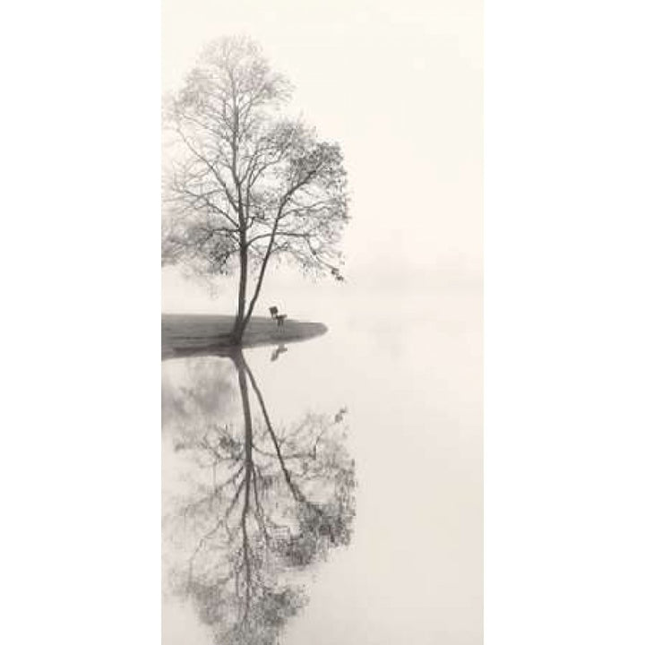 Tranquil Morning Poster Print by Nicholas Bell-VARPDXB3211D Image 1