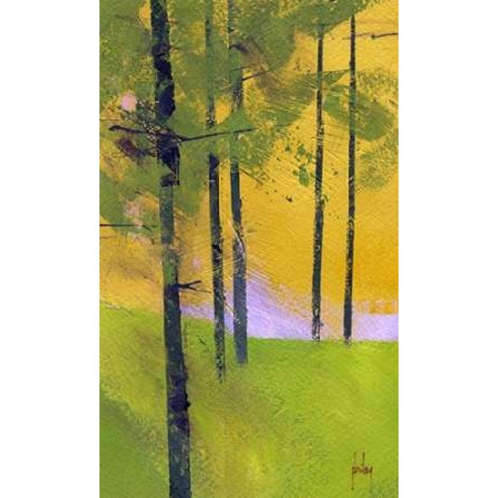 Simple Spruce Poster Print by Paul Bailey-VARPDXB3309D Image 2