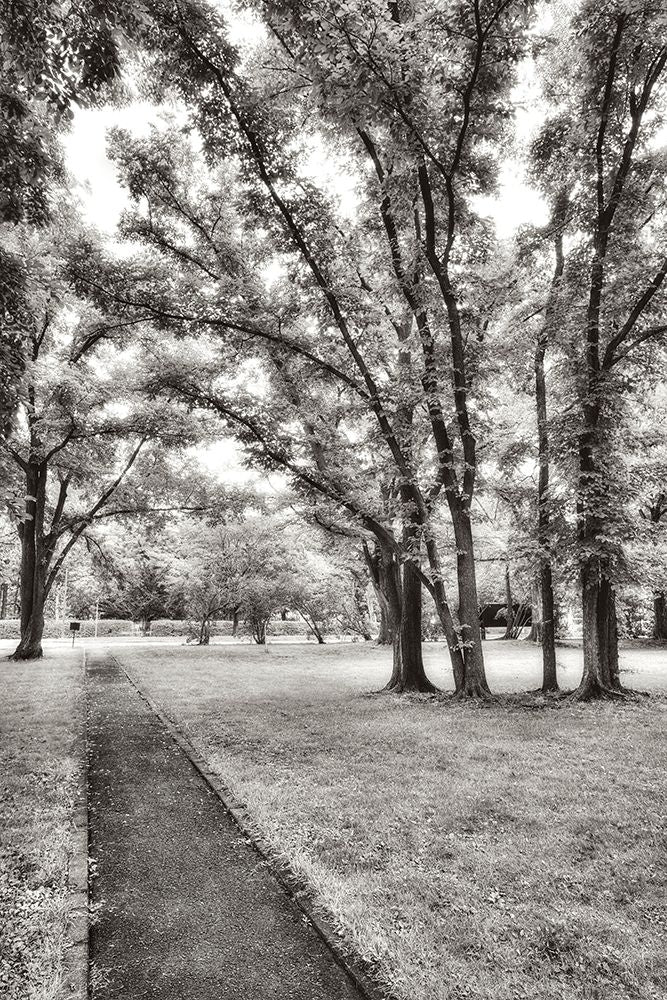 Garden Pathway No.1 Poster Print by Alan Blaustein-VARPDXB3554D Image 1