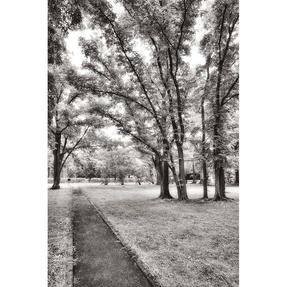 Garden Pathway No.1 Poster Print by Alan Blaustein-VARPDXB3554D Image 2