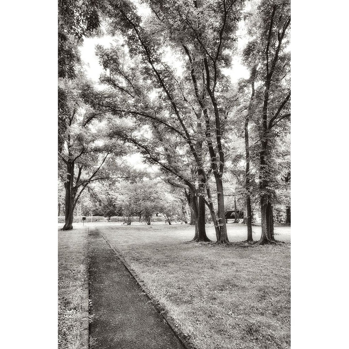 Garden Pathway No.1 Poster Print by Alan Blaustein-VARPDXB3554D Image 1