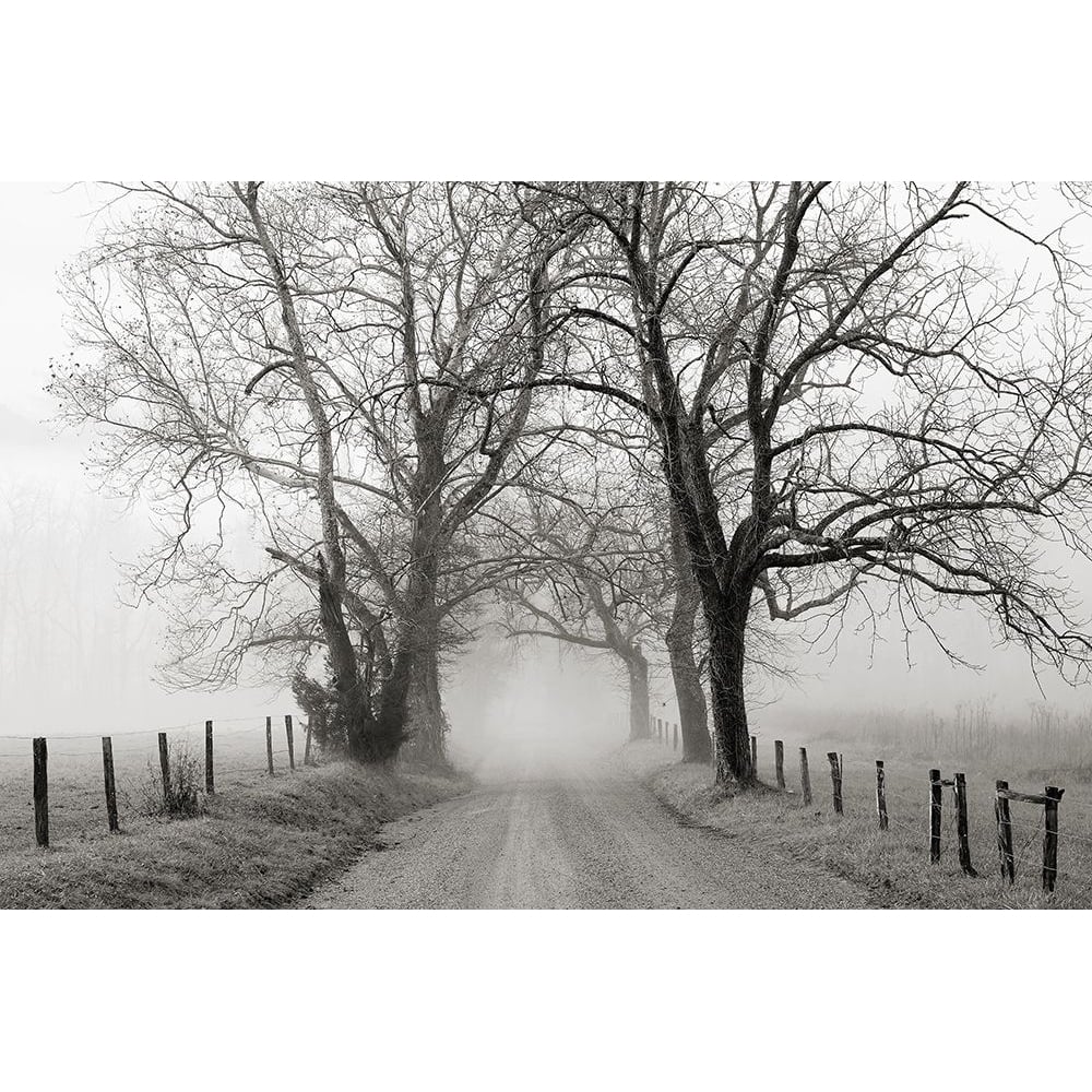 Sparks Lane Late Autumn Poster Print by Nicholas Bell-VARPDXB3606D Image 1