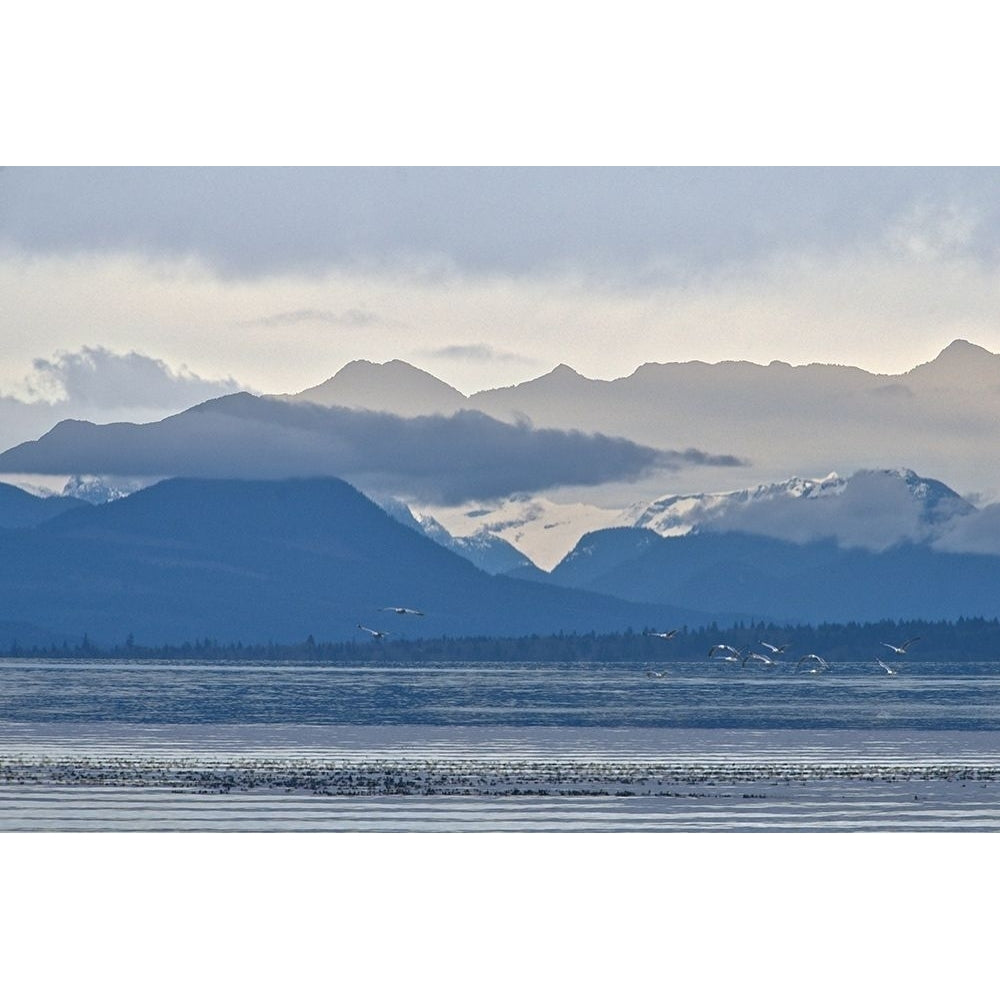 Blue Skylines Poster Print by Chuck Burdick-VARPDXB3767D Image 1