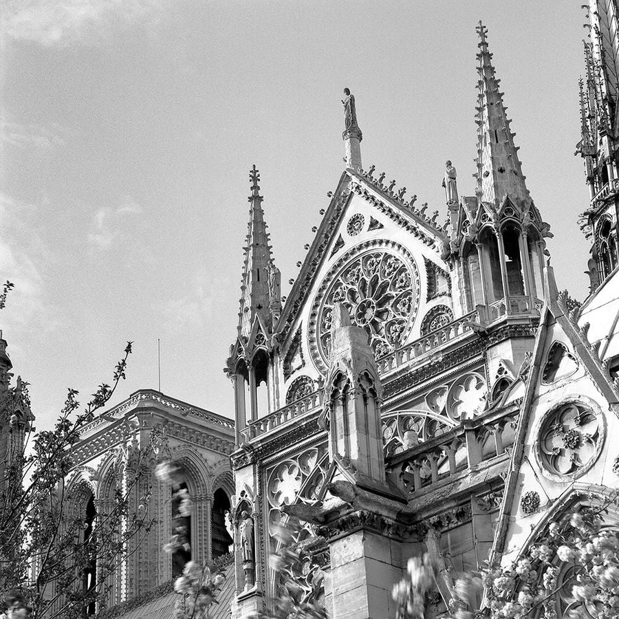 Shining Star of Paris - Notre Dame Poster Print by Alan Blaustein-VARPDXB3764D Image 1