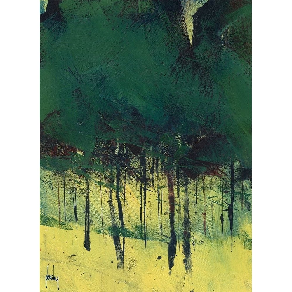 Pine Copse Poster Print by Paul Bailey-VARPDXB3788D Image 1