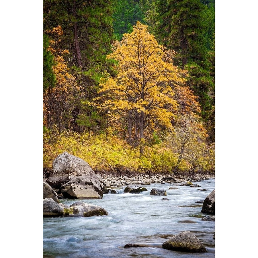 Autumn Across The River by Michael Broom-VARPDXB4127D Image 1