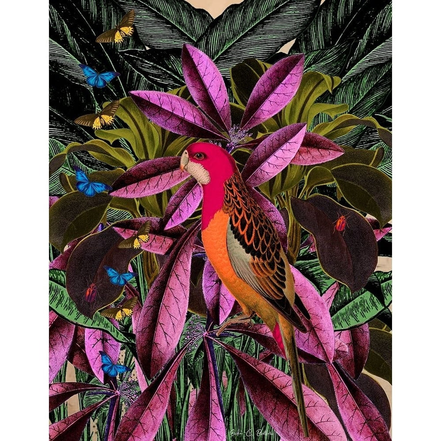 Tropical Jungle No. 2 Poster Print - Erika C. Brothers-VARPDXB4251D Image 1