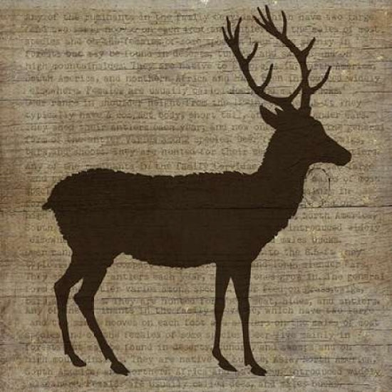 Deer Poster Print by Beth Albert-VARPDXBA1216 Image 1