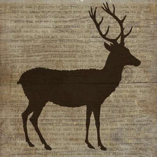 Deer Poster Print by Beth Albert-VARPDXBA1216 Image 2