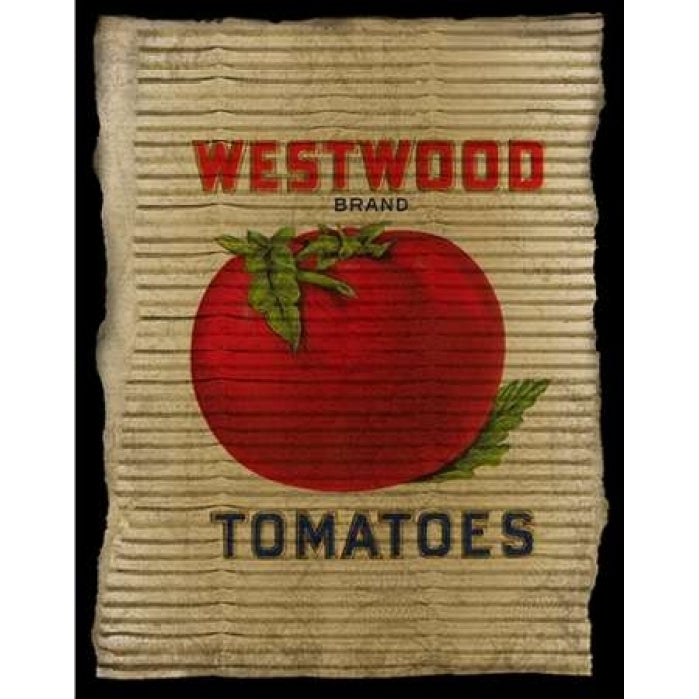 Vintage Tomatoes Poster Print by Beth Albert-VARPDXBA1194 Image 2