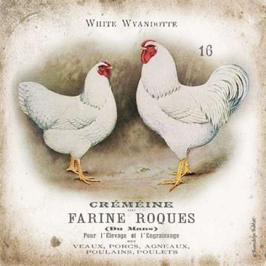 Chicken Pair I Poster Print by Gwendolyn Babbitt-VARPDXBAB046 Image 1