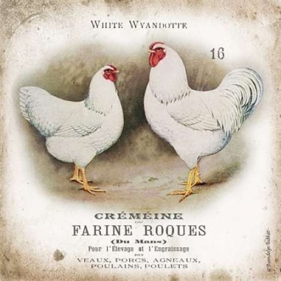 Chicken Pair I Poster Print by Gwendolyn Babbitt-VARPDXBAB046 Image 2