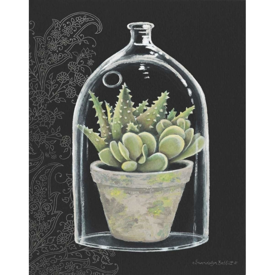 Succulent in Cloche II Poster Print by Gwendolyn Babbitt-VARPDXBAB242 Image 1