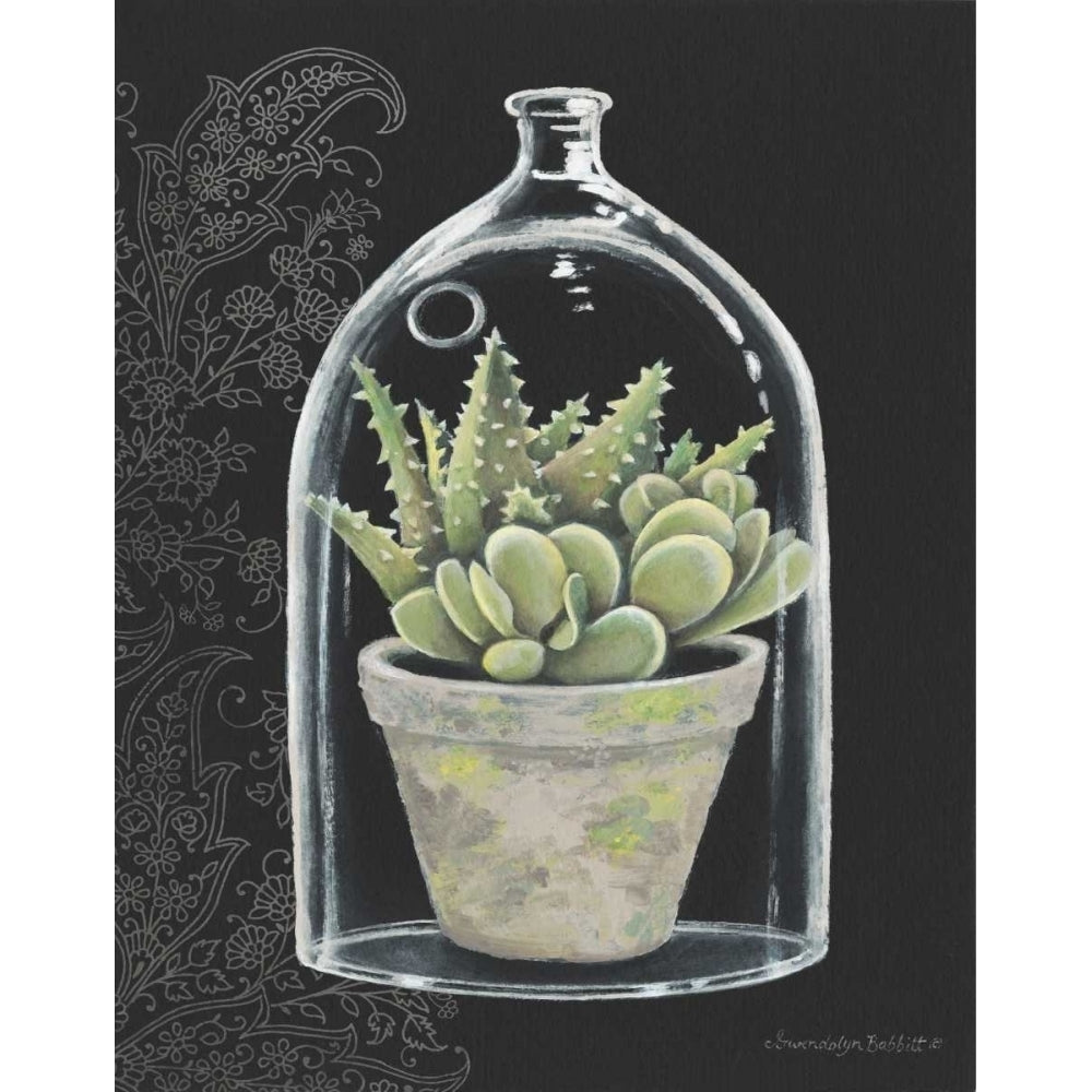 Succulent in Cloche II Poster Print by Gwendolyn Babbitt-VARPDXBAB242 Image 2