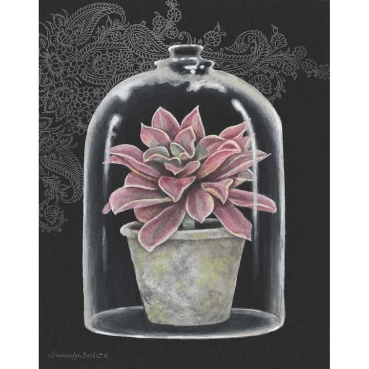 Succulent in Cloche III Poster Print by Gwendolyn Babbitt-VARPDXBAB243 Image 1