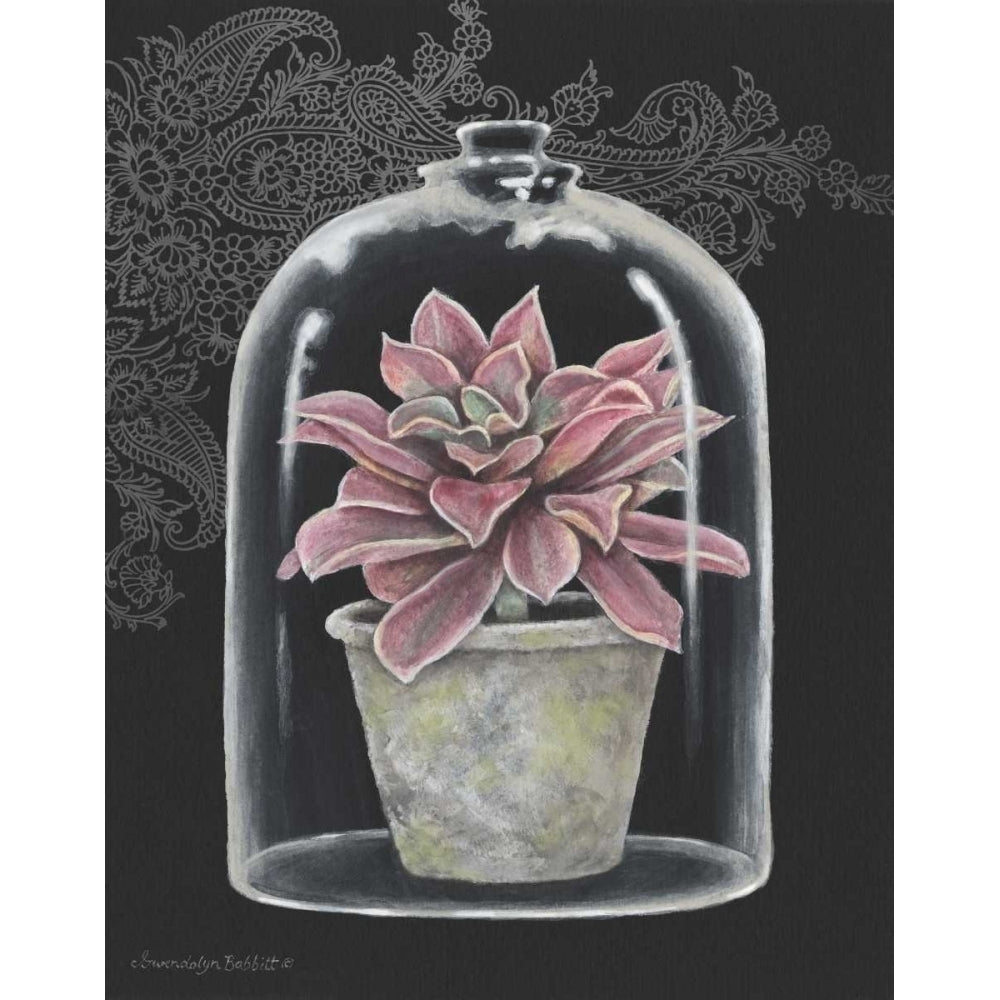 Succulent in Cloche III Poster Print by Gwendolyn Babbitt-VARPDXBAB243 Image 2