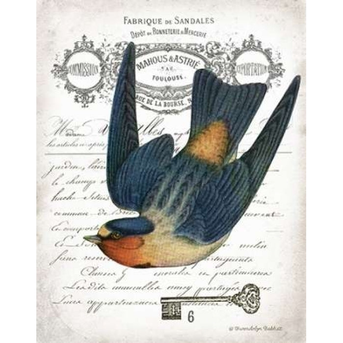 French Swallow I Poster Print by Gwendolyn Babbitt-VARPDXBAB273 Image 1