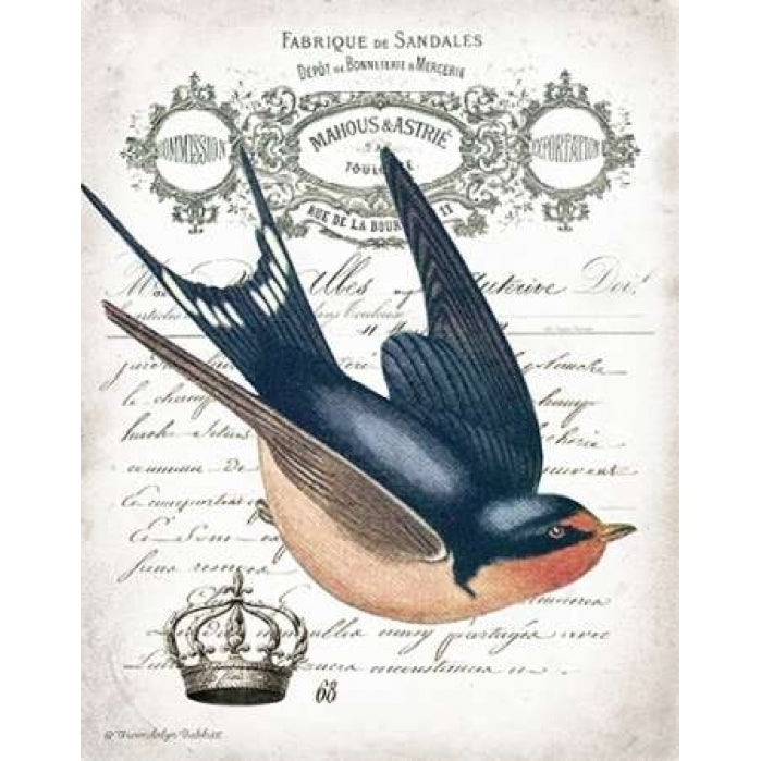 French Swallow II Poster Print by Gwendolyn Babbitt-VARPDXBAB274 Image 2