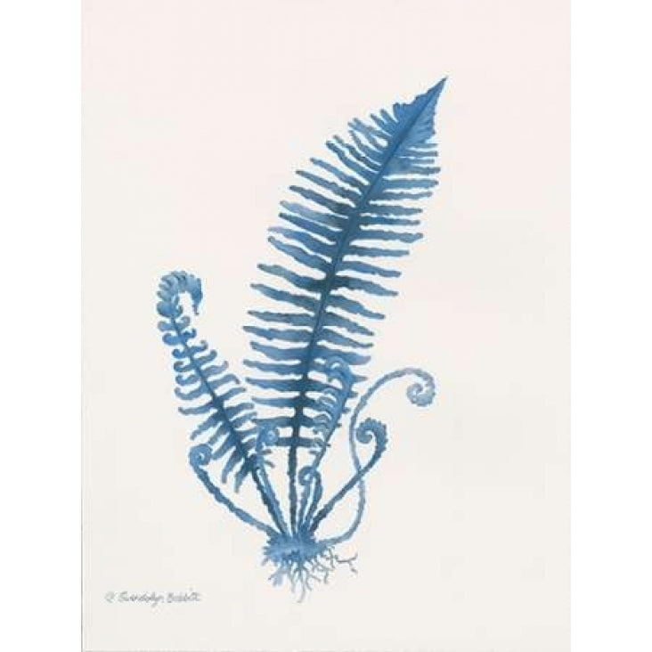 Indigo Fern IV Poster Print by Gwendolyn Babbitt-VARPDXBAB319 Image 2