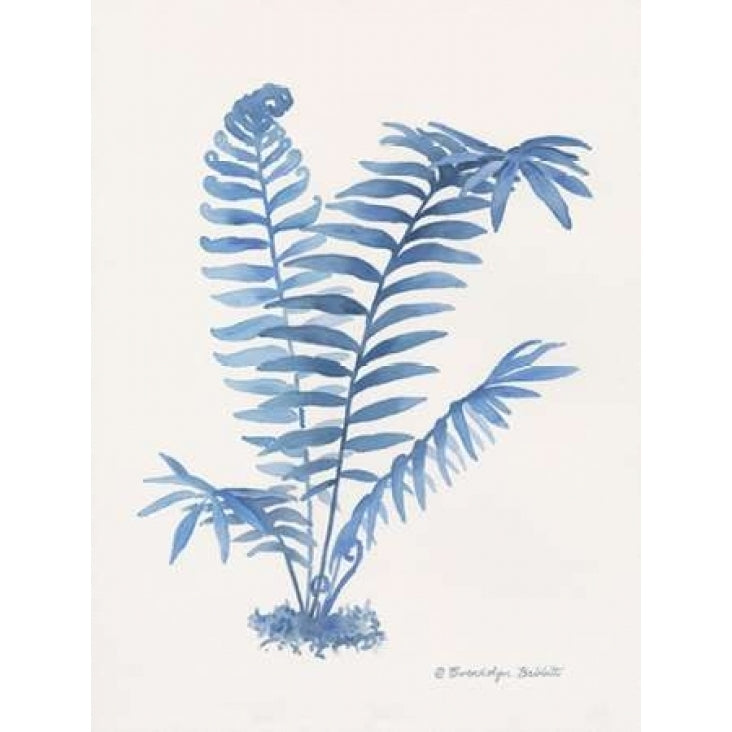 Indigo Fern III Poster Print by Gwendolyn Babbitt-VARPDXBAB318 Image 1