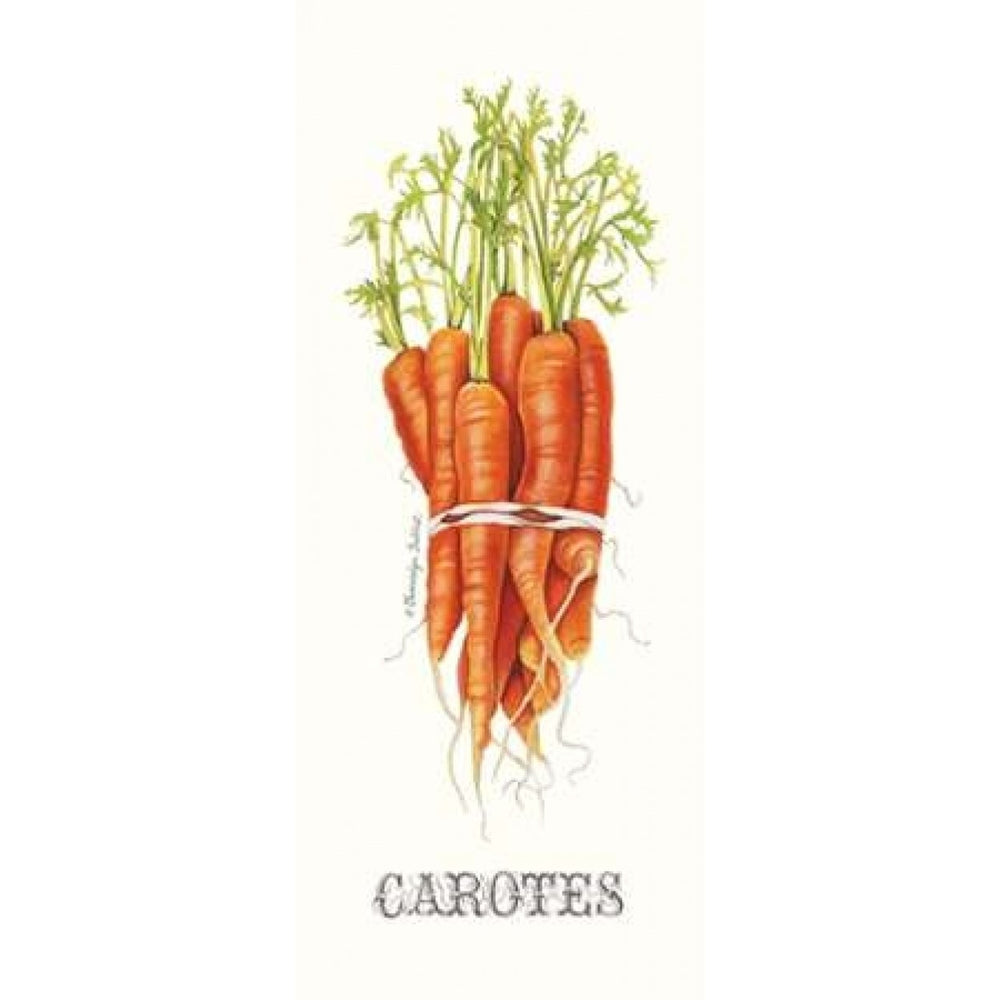 Carotes Poster Print by Gwendolyn Babbitt-VARPDXBAB381 Image 2