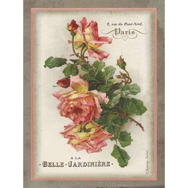 French Rose I Poster Print by Gwendolyn Babbitt-VARPDXBAB396 Image 1