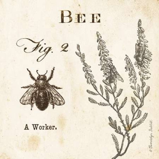 Bee Fig 2 Poster Print by Gwendolyn Babbitt-VARPDXBAB402 Image 2