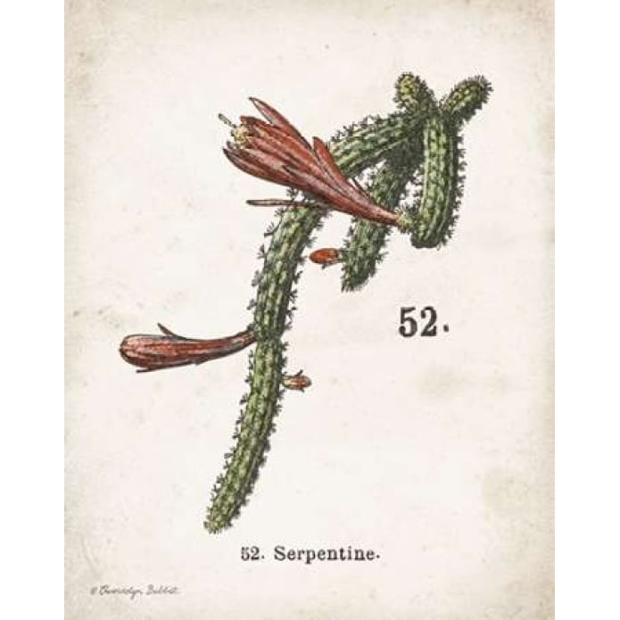 Cacti III Poster Print by Gwendolyn Babbitt-VARPDXBAB447 Image 1