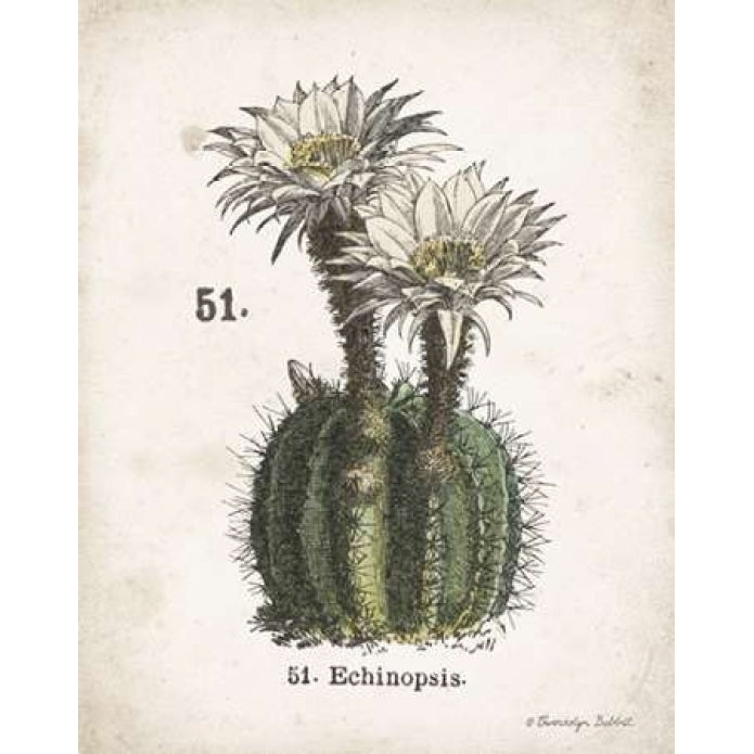 Cacti IV Poster Print by Gwendolyn Babbitt-VARPDXBAB448 Image 1