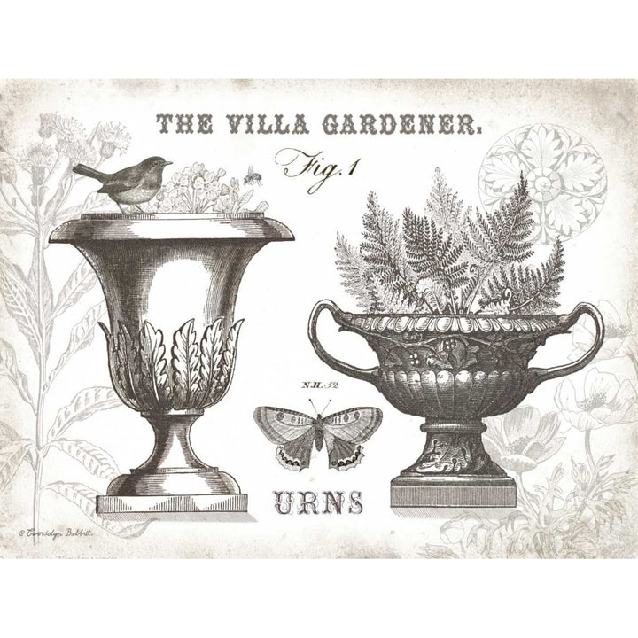 Garden Urns Poster Print by Gwendolyn Babbitt-VARPDXBAB467 Image 1