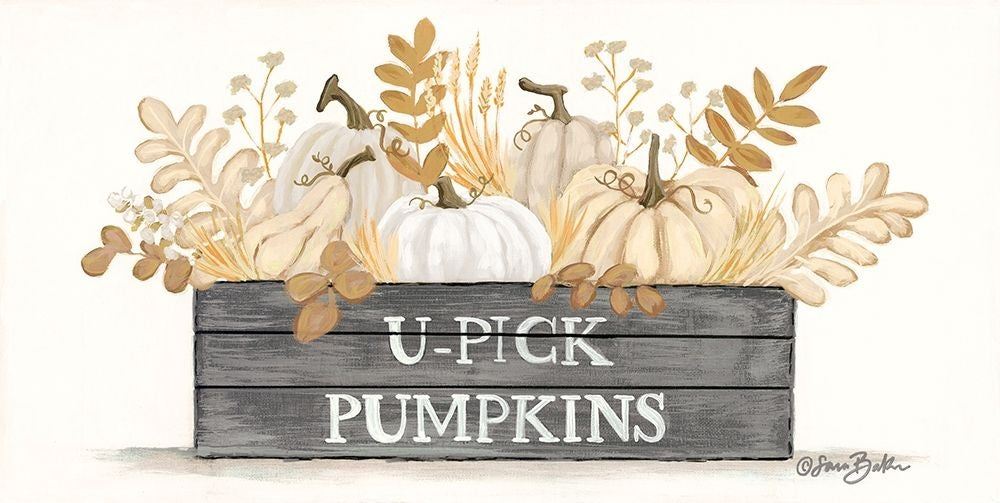 U-Pick Pumpkins by Sara Baker-VARPDXBAKE212 Image 1