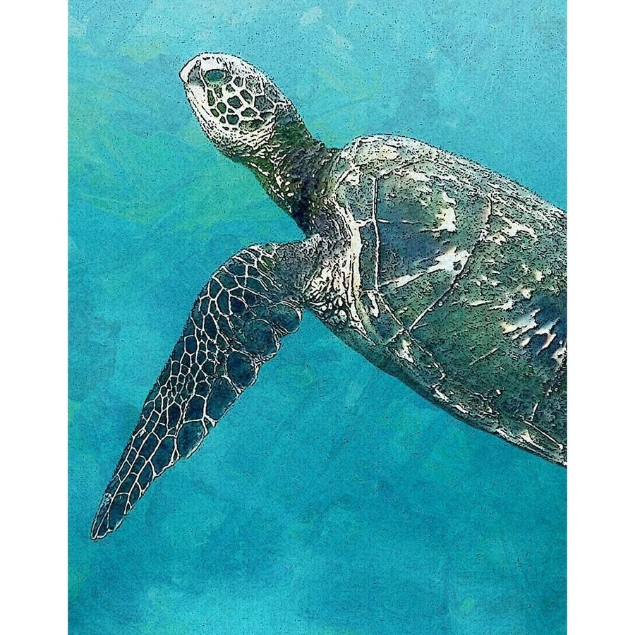 Sea Turtle 3 Poster Print by Ann Bailey-VARPDXBARC037C Image 1