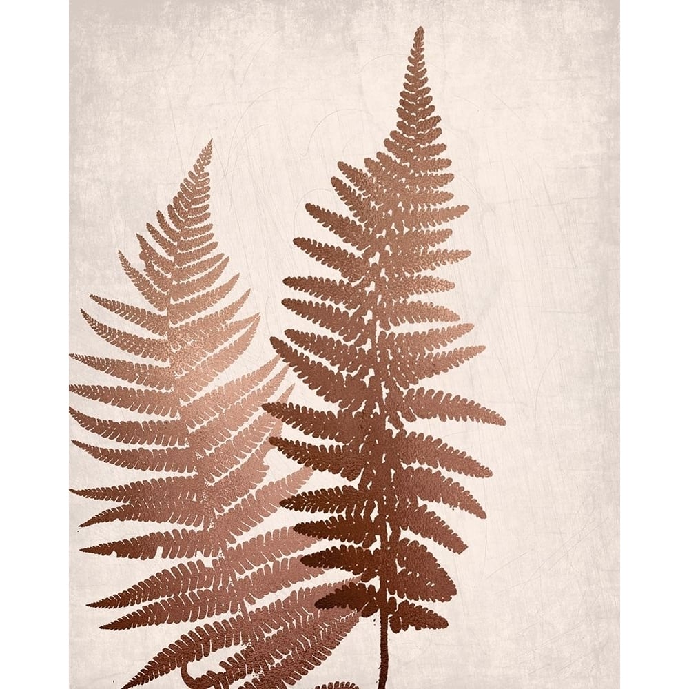 Copper Pink Ferns 1 Poster Print by Ann Bailey-VARPDXBARC050A Image 1